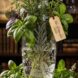 Vase bouquet aromatique